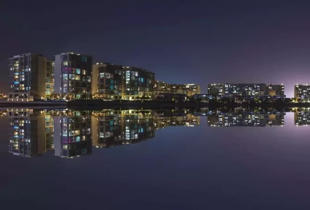 Saadiyat Grove Saadiyat Grove